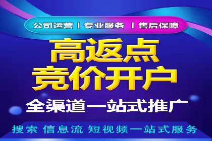 SEM竞价培训：实战案例解析与优化